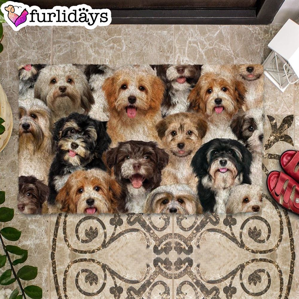 A Bunch Of Havaneses Doormat Funny Doormat Gift For Dog Lovers 2 A Bunch Of Havaneses Doormat Funny Doormat Gift For Dog Lovers 2