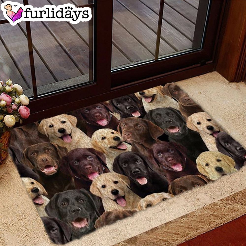 A Bunch Of Labradors Doormat Xmas Welcome Mats Gift For Dog Lovers 1 A Bunch Of Labradors Doormat Xmas Welcome Mats Gift For Dog Lovers 1