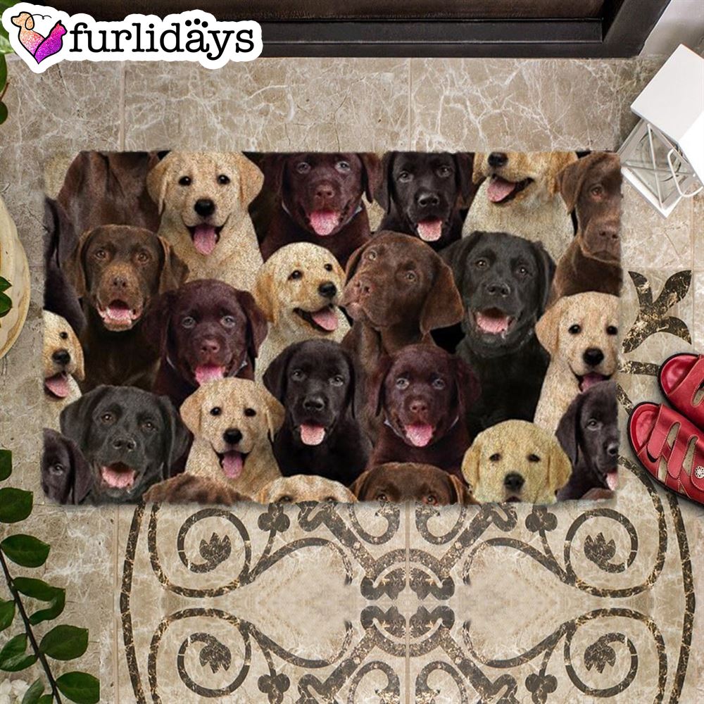 A Bunch Of Labradors Doormat Xmas Welcome Mats Gift For Dog Lovers 2 A Bunch Of Labradors Doormat Xmas Welcome Mats Gift For Dog Lovers 2