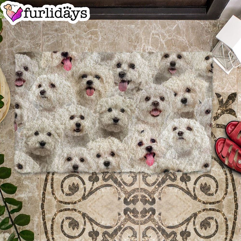 A Bunch Of Malteses Doormat Funny Doormat Gift For Dog Lovers 2 A Bunch Of Malteses Doormat Funny Doormat Gift For Dog Lovers 2