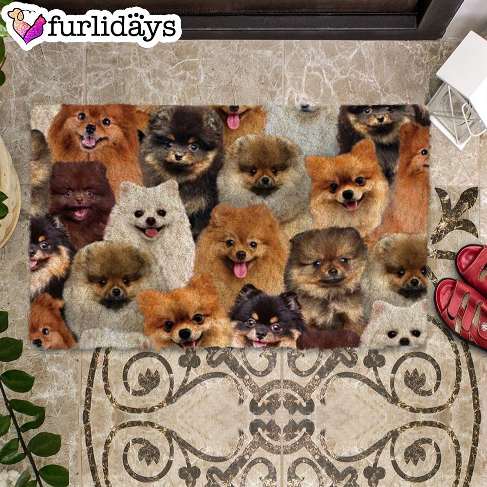 A Bunch Of Pomeranians Doormat Xmas Welcome Mats Gift For Dog Lovers 2 A Bunch Of Pomeranians Doormat Xmas Welcome Mats Gift For Dog Lovers 2
