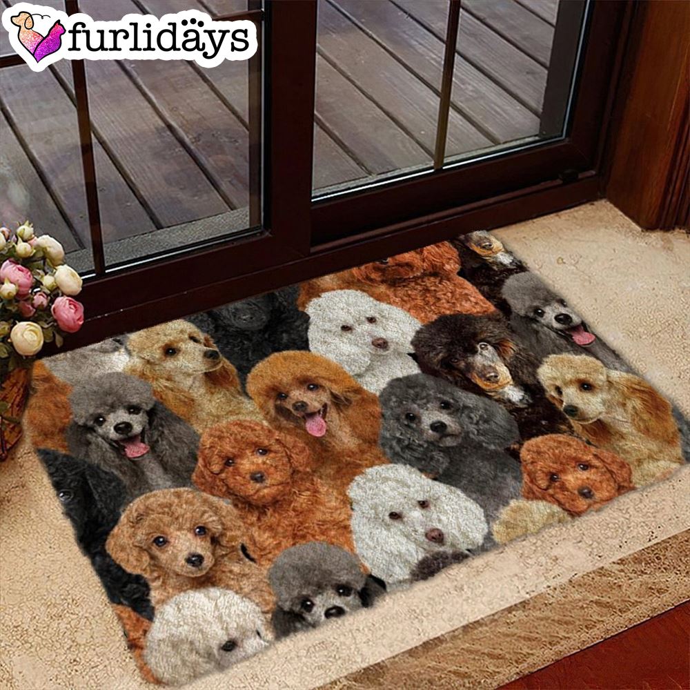 A Bunch Of Poodles Doormat Funny Doormat Gift For Dog Lovers 1 A Bunch Of Poodles Doormat Funny Doormat Gift For Dog Lovers 1
