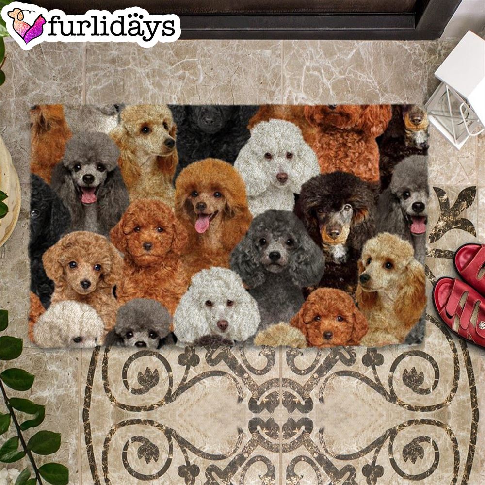 A Bunch Of Poodles Doormat Funny Doormat Gift For Dog Lovers 2 A Bunch Of Poodles Doormat Funny Doormat Gift For Dog Lovers 2