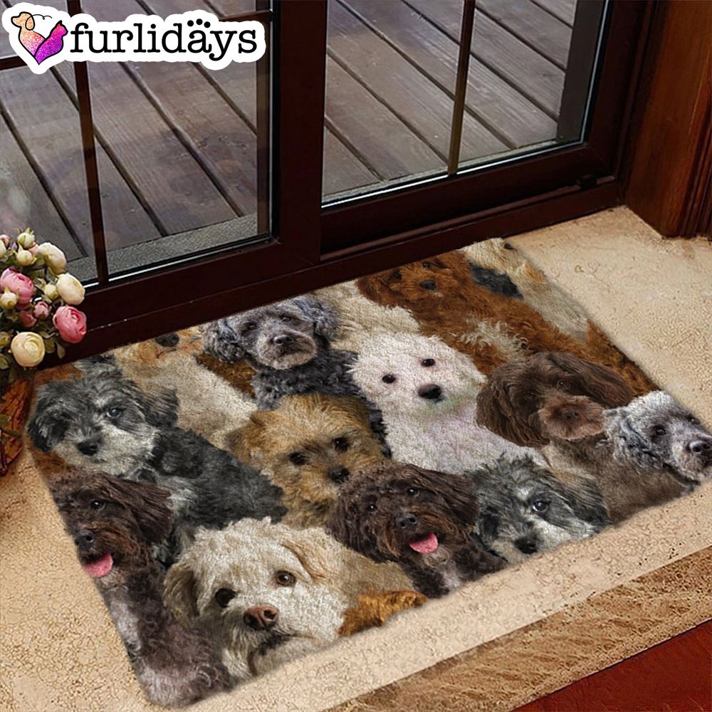 A Bunch Of Schnoodles Doormat Funny Doormat Gift For Dog Lovers 1