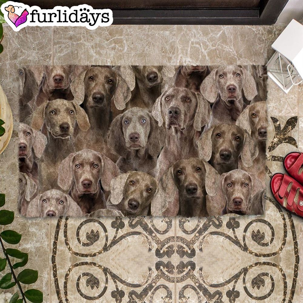 A Bunch Of Weimaraners Doormat Xmas Welcome Mats Gift For Dog Lovers 2 A Bunch Of Weimaraners Doormat Xmas Welcome Mats Gift For Dog Lovers 2