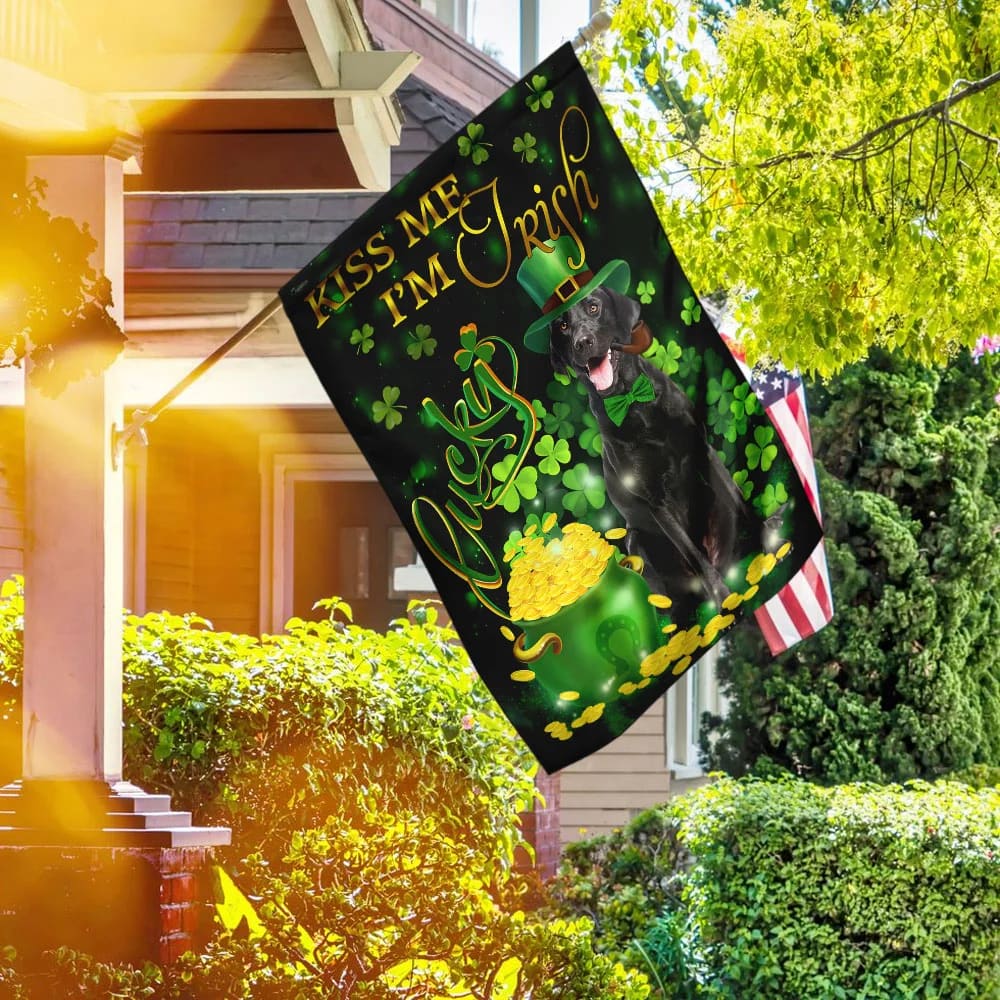 Black Labrador Kiss Me I m Irish St Patrick s Day Garden Flag Best Outdoor Decor Ideas St Patrick s Day Gifts 2