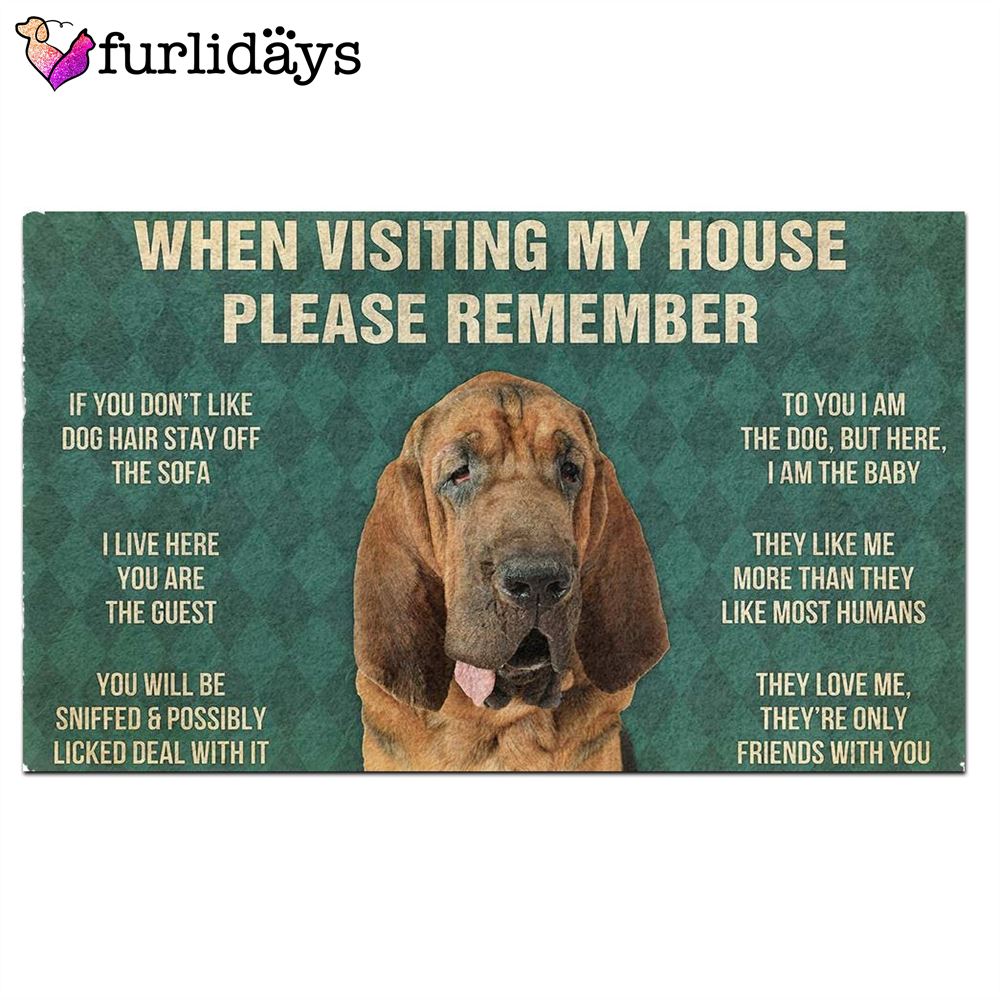 Bloodhound s Rules Doormat Funny Doormat Gift For Dog Lovers 2 Bloodhound s Rules Doormat Funny Doormat Gift For Dog Lovers 2