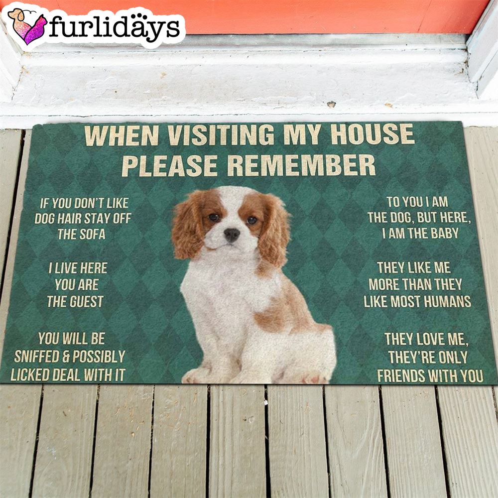 Cavalier King Charles Spaniel Puppy s Rules Doormat Funny Doormat Gift For Dog Lovers 1 Cavalier King Charles Spaniel Puppy s Rules Doormat Funny Doormat Gift For Dog Lovers 1