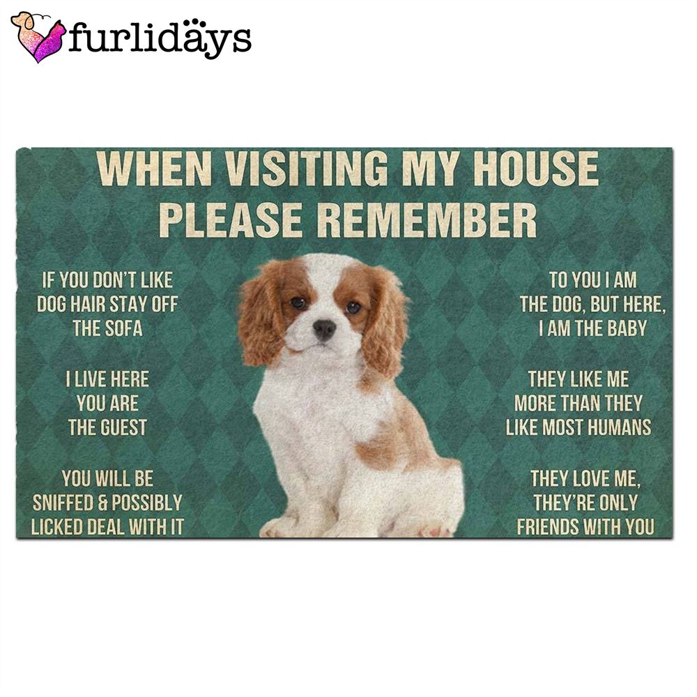 Cavalier King Charles Spaniel Puppy s Rules Doormat Funny Doormat Gift For Dog Lovers 2 Cavalier King Charles Spaniel Puppy s Rules Doormat Funny Doormat Gift For Dog Lovers 2