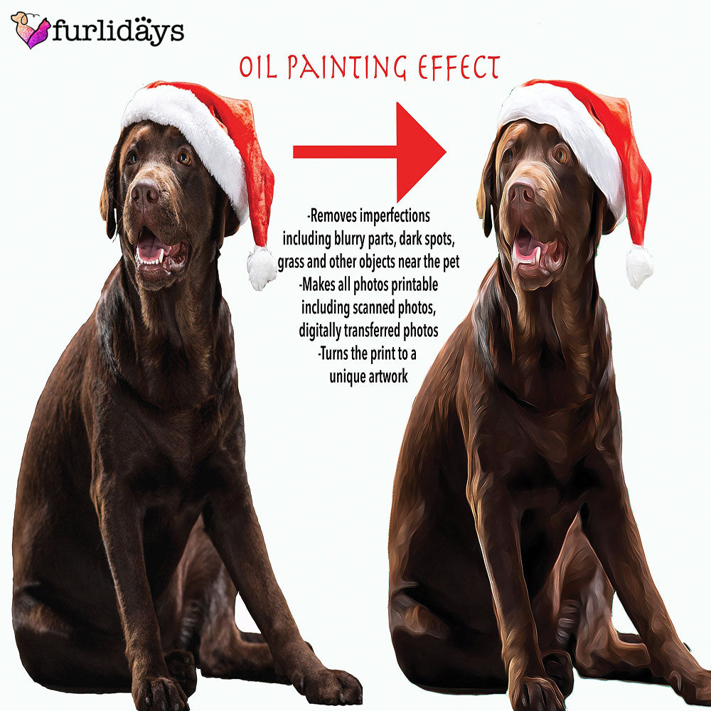 Custom Dog Face Blankets Personalized Pet Photo Blanket Customized Photo Throws Fleece Dog Blankets Dog Dad Mom Gifts Pet Lover Gifts 3 97f6ab90 bbdc 416b aaca 1ed9f89730e7