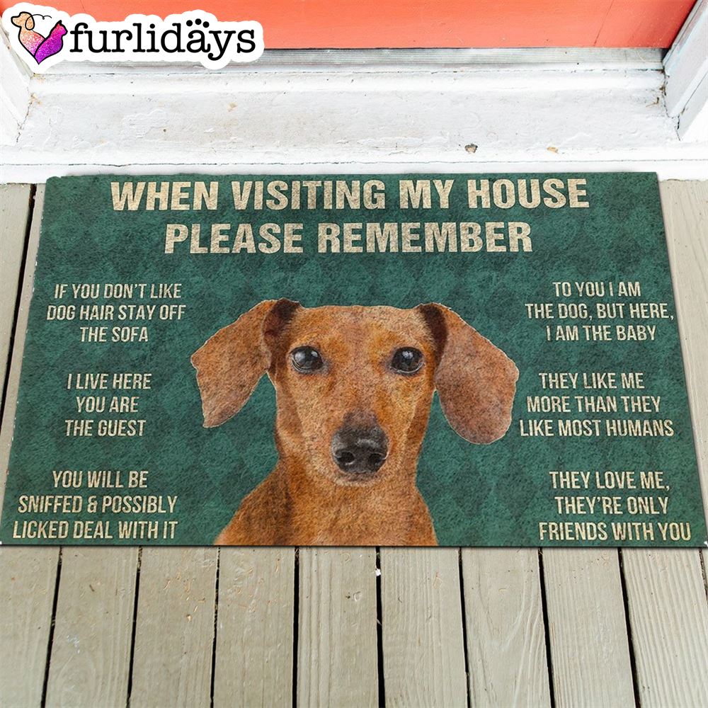 Dachshund s Rules Doormat Outdoor Decor Christmas Gift For Pet Lovers 1 Dachshund s Rules Doormat Outdoor Decor Christmas Gift For Pet Lovers 1