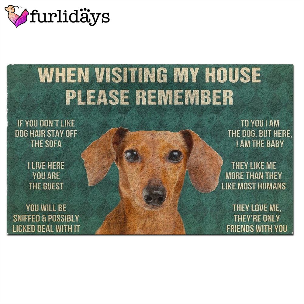 Dachshund s Rules Doormat Outdoor Decor Christmas Gift For Pet Lovers 2 Dachshund s Rules Doormat Outdoor Decor Christmas Gift For Pet Lovers 2