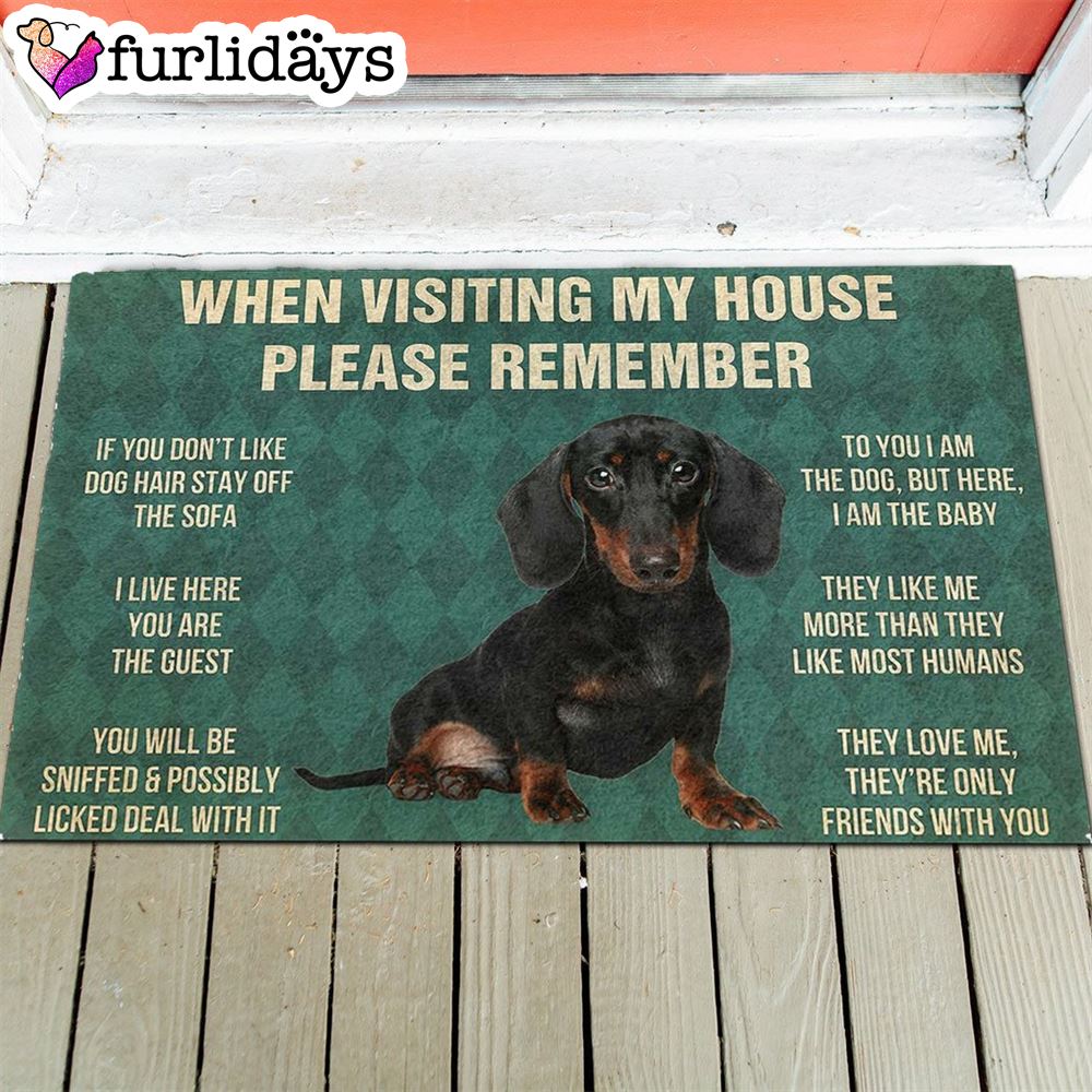 Dachshunds Puppy s Rules Doormat Outdoor Decor Christmas Decor 1 Dachshunds Puppy s Rules Doormat Outdoor Decor Christmas Decor 1