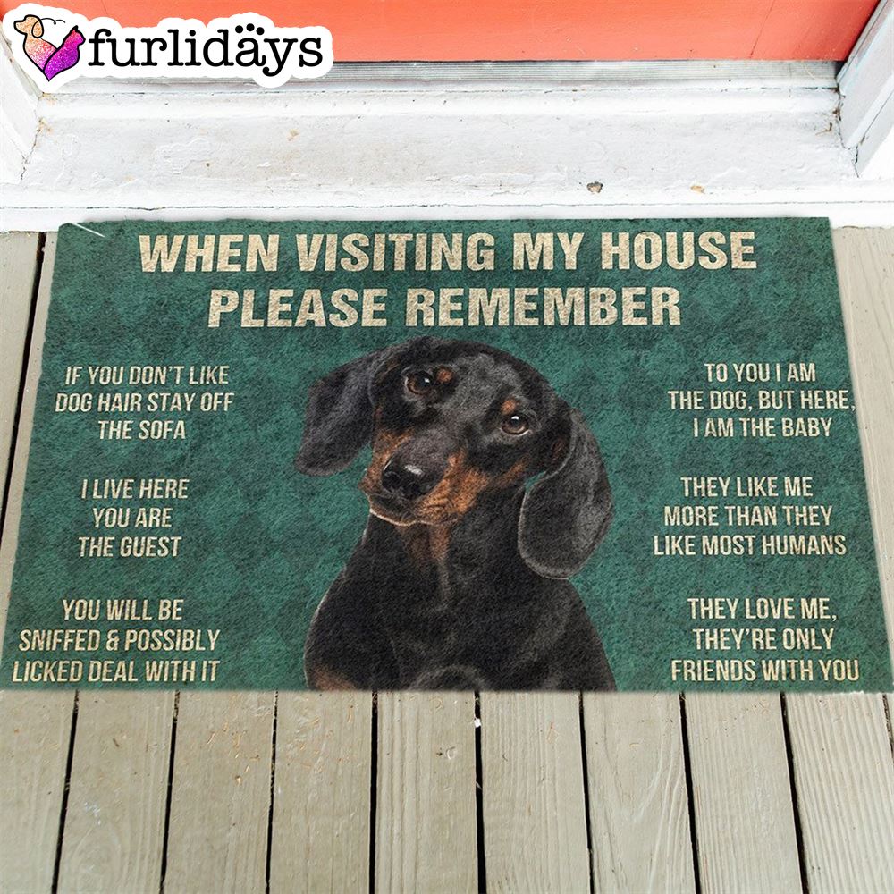 Dachshunds s Rules Doormat Housewarming Gifts Christmas Gift For Pet Lovers 1 Dachshunds s Rules Doormat Housewarming Gifts Christmas Gift For Pet Lovers 1