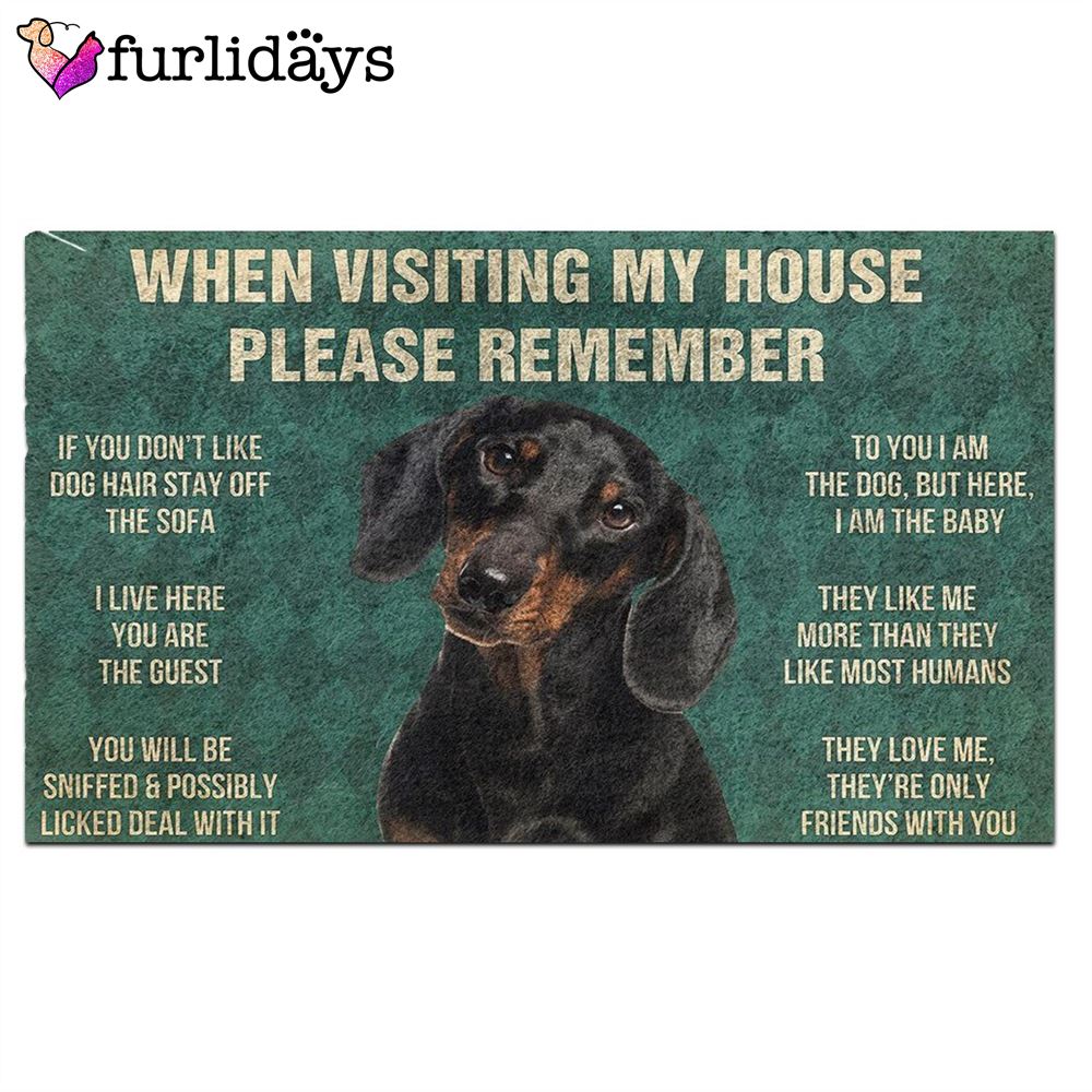 Dachshunds s Rules Doormat Housewarming Gifts Christmas Gift For Pet Lovers 2 Dachshunds s Rules Doormat Housewarming Gifts Christmas Gift For Pet Lovers 2