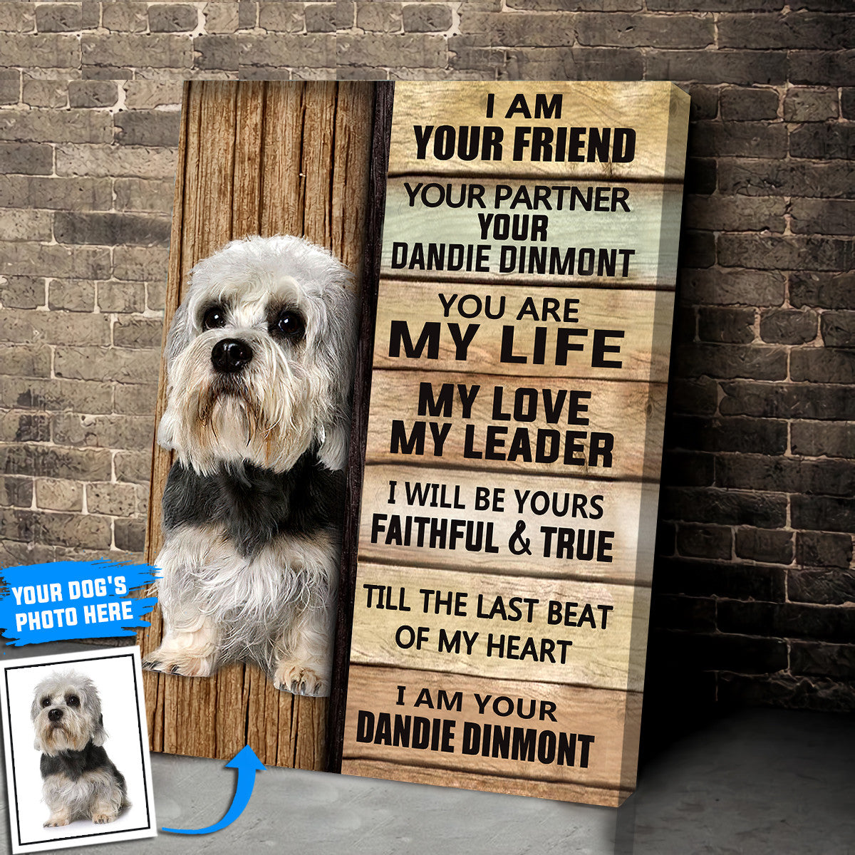 Dandie Dinmont Personalized Poster Canvas Dog Canvas Wall Art Dog Lovers Gifts For Him Or Her 4 Dandie Dinmont Personalized Poster Canvas Dog Canvas Wall Art Dog Lovers Gifts For Him Or Her 4
