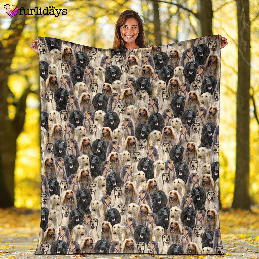Dog Blanket Dog Face Blanket Dog Throw Blanket Afghan Hound Full Face Blanket Furlidays 2 68408e04 3f13 4405 916c a7f71ff37227 Dog Blanket Dog Face Blanket Dog Throw Blanket Afghan Hound Full Face Blanket Furlidays 2 68408e04 3f13 4405 916c a7f71ff37227