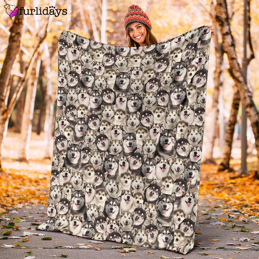 Dog Blanket Dog Face Blanket Dog Throw Blanket Alaskan Full Face Blanket Furlidays 10 Dog Blanket Dog Face Blanket Dog Throw Blanket Alaskan Full Face Blanket Furlidays 10