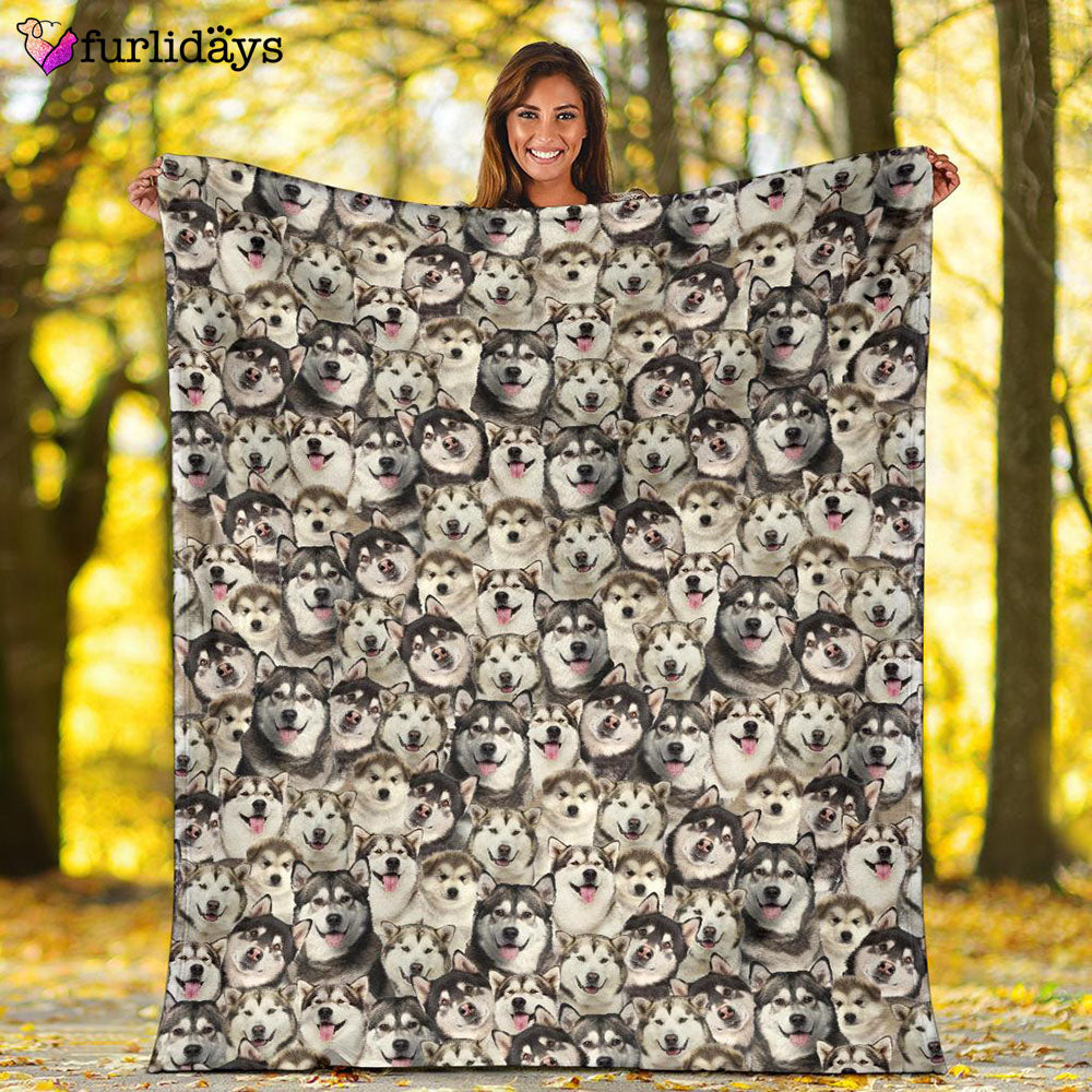 Dog Blanket Dog Face Blanket Dog Throw Blanket Alaskan Full Face Blanket Furlidays 2 74cee8e8 dff1 4d89 a16f f081b1d114cb Dog Blanket Dog Face Blanket Dog Throw Blanket Alaskan Full Face Blanket Furlidays 2 74cee8e8 dff1 4d89 a16f f081b1d114cb