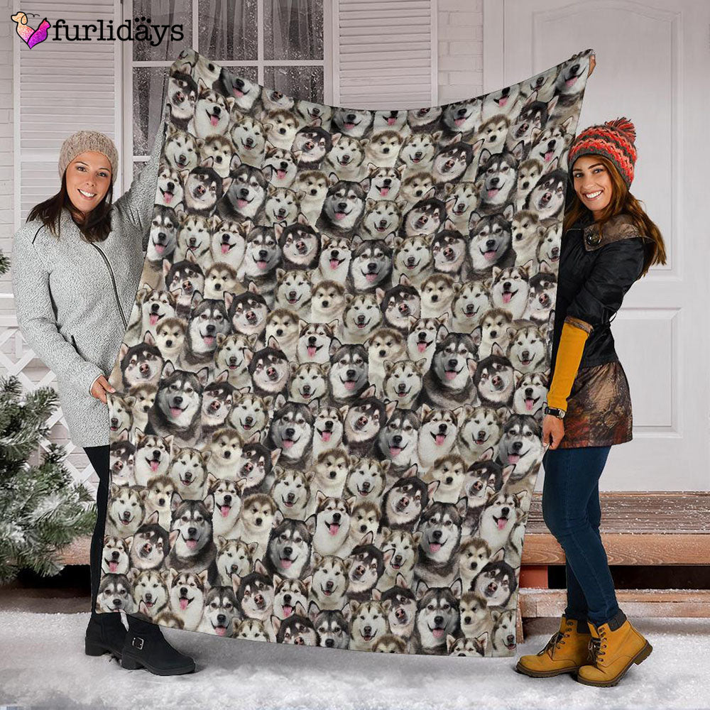 Dog Blanket Dog Face Blanket Dog Throw Blanket Alaskan Full Face Blanket Furlidays 3 Dog Blanket Dog Face Blanket Dog Throw Blanket Alaskan Full Face Blanket Furlidays 3