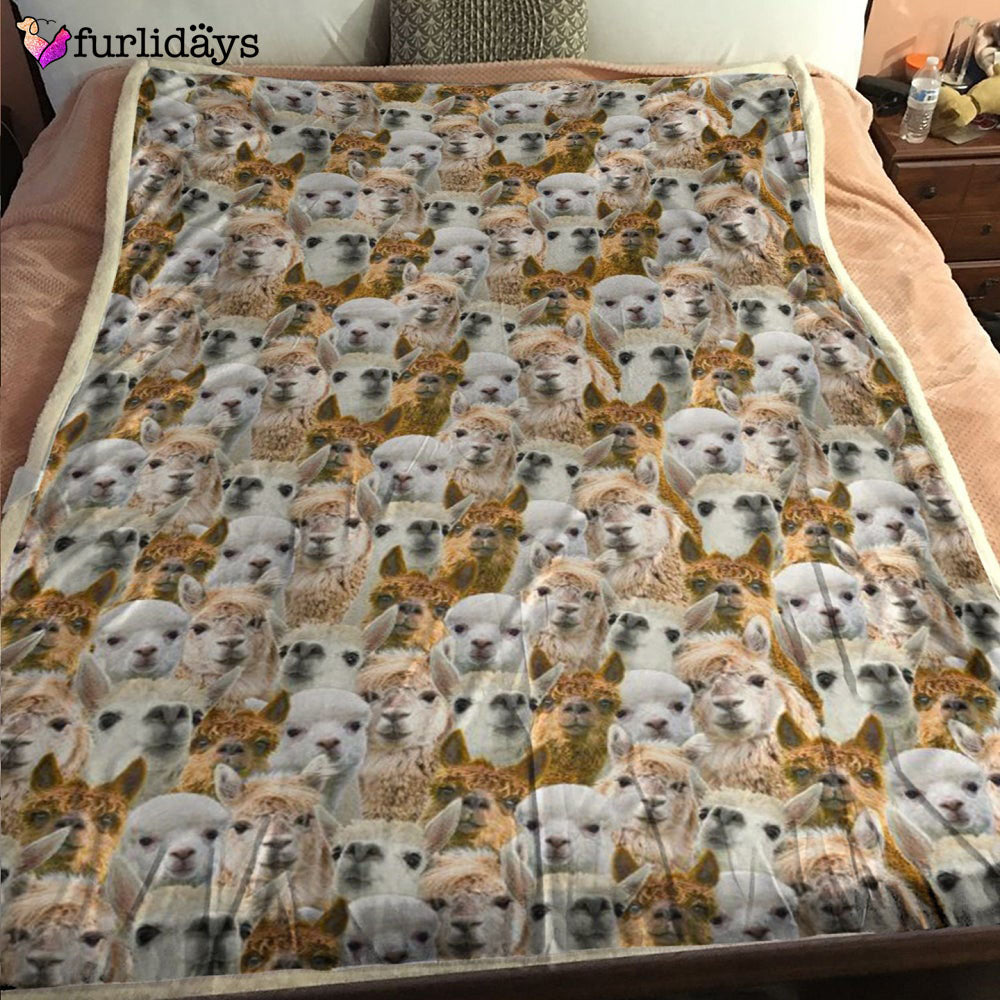 Dog Blanket Dog Face Blanket Dog Throw Blanket Alpaca Full Face Blanket Furlidays 1 Dog Blanket Dog Face Blanket Dog Throw Blanket Alpaca Full Face Blanket Furlidays 1
