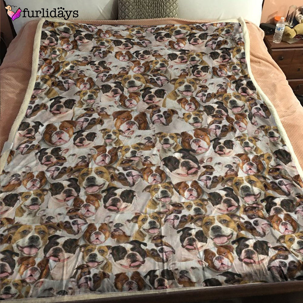 Dog Blanket Dog Face Blanket Dog Throw Blanket American Bulldog 2 Full Face Blanket Furlidays 1