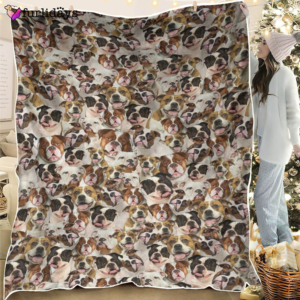 Dog Blanket Dog Face Blanket Dog Throw Blanket American Bulldog 2 Full Face Blanket Furlidays 2