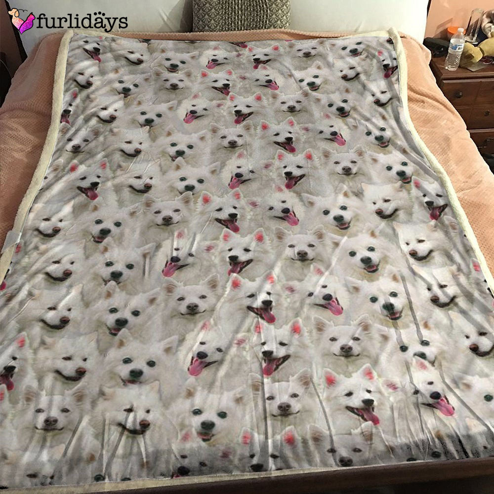 Dog Blanket Dog Face Blanket Dog Throw Blanket American Eskimo Dog Full Face Blanket Furlidays 1 4c6830e0 0d72 4885 a178 384fc1991c43 Dog Blanket Dog Face Blanket Dog Throw Blanket American Eskimo Dog Full Face Blanket Furlidays 1 4c6830e0 0d72 4885 a178 384fc1991c43