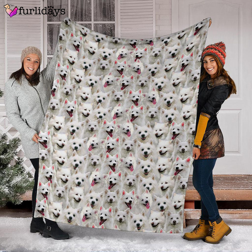 Dog Blanket Dog Face Blanket Dog Throw Blanket American Eskimo Dog Full Face Blanket Furlidays 3 Dog Blanket Dog Face Blanket Dog Throw Blanket American Eskimo Dog Full Face Blanket Furlidays 3