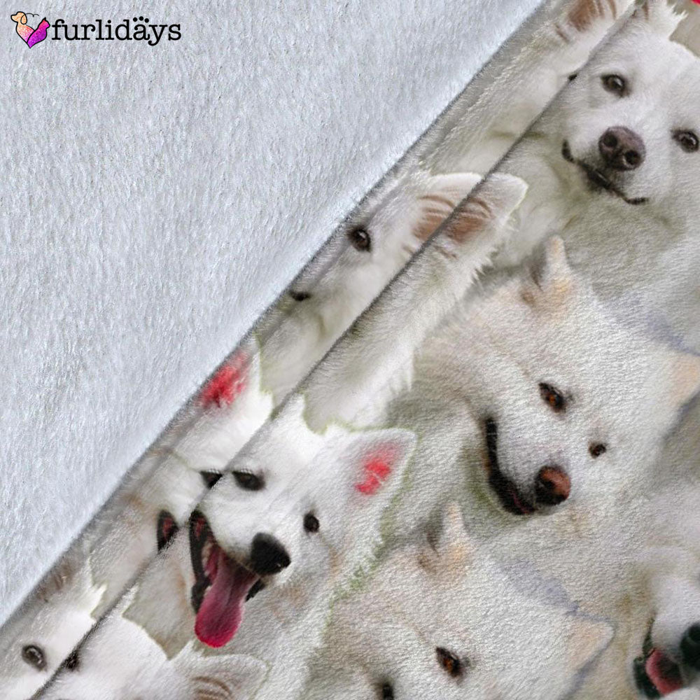 Dog Blanket Dog Face Blanket Dog Throw Blanket American Eskimo Dog Full Face Blanket Furlidays 5 f63d055b 8a29 41b7 9eeb 25934fb18cdc Dog Blanket Dog Face Blanket Dog Throw Blanket American Eskimo Dog Full Face Blanket Furlidays 5 f63d055b 8a29 41b7 9eeb 25934fb18cdc
