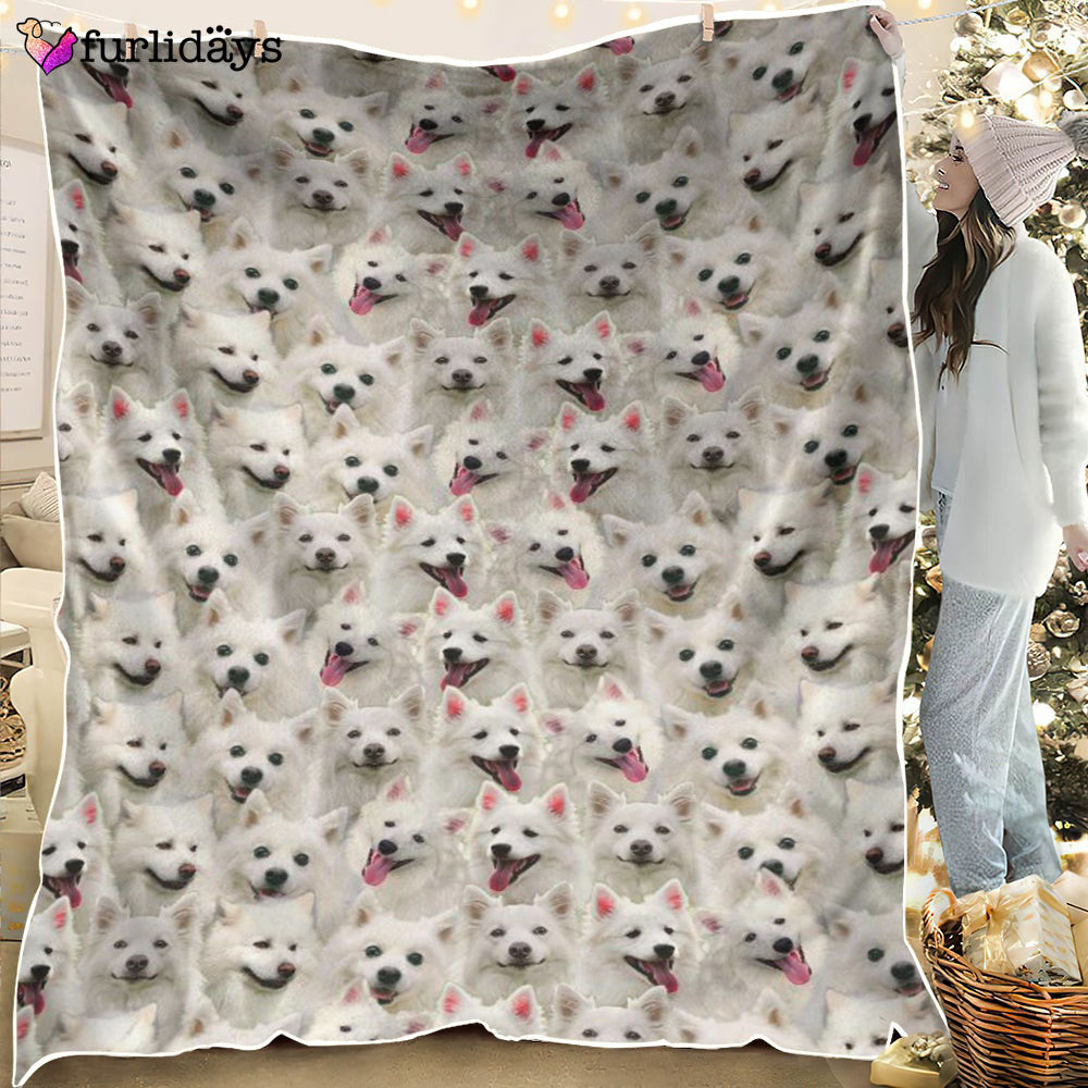 Dog Blanket Dog Face Blanket Dog Throw Blanket American Eskimo Dog Full Face Blanket Furlidays 6 f56478b7 7474 481b 9bdf fb123c373642 Dog Blanket Dog Face Blanket Dog Throw Blanket American Eskimo Dog Full Face Blanket Furlidays 6 f56478b7 7474 481b 9bdf fb123c373642