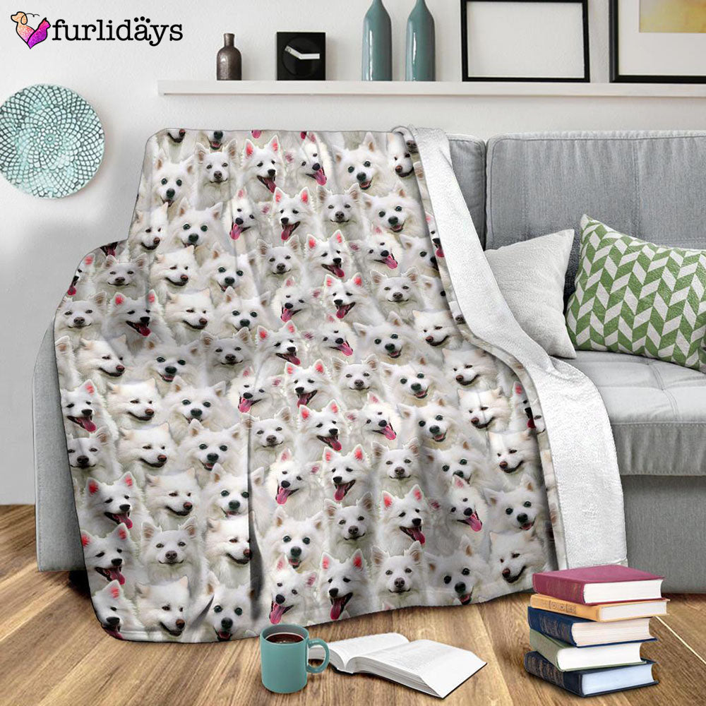 Dog Blanket Dog Face Blanket Dog Throw Blanket American Eskimo Dog Full Face Blanket Furlidays 9 Dog Blanket Dog Face Blanket Dog Throw Blanket American Eskimo Dog Full Face Blanket Furlidays 9
