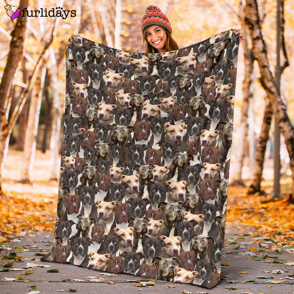 Dog Blanket Dog Face Blanket Dog Throw Blanket American Pit Bull Terrier Full Face Blanket Furlidays 10 33cd5739 5f01 4b4d b841 efd71d452786 Dog Blanket Dog Face Blanket Dog Throw Blanket American Pit Bull Terrier Full Face Blanket Furlidays 10 33cd5739 5f01 4b4d b841 efd71d452786