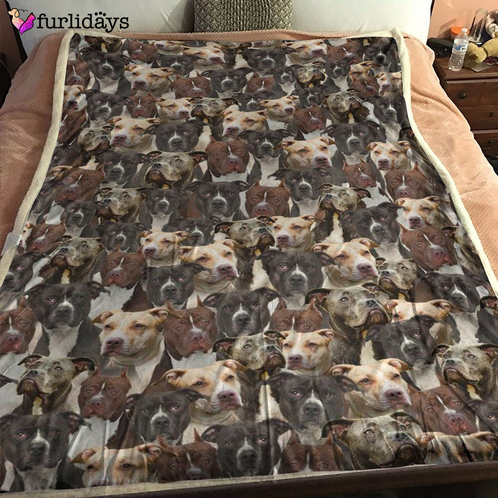 Dog Blanket Dog Face Blanket Dog Throw Blanket American Pit Bull Terrier Full Face Blanket Furlidays 1 a456d2c1 5860 49aa a356 e4e15350d605 Dog Blanket Dog Face Blanket Dog Throw Blanket American Pit Bull Terrier Full Face Blanket Furlidays 1 a456d2c1 5860 49aa a356 e4e15350d605