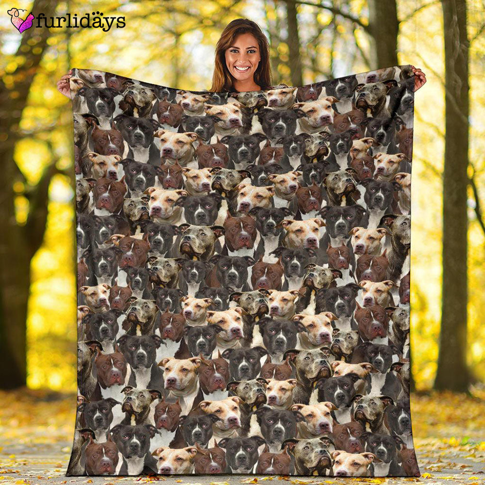 Dog Blanket Dog Face Blanket Dog Throw Blanket American Pit Bull Terrier Full Face Blanket Furlidays 2 6e6c34ce ff28 4bd5 8f44 0e6c189ef88c Dog Blanket Dog Face Blanket Dog Throw Blanket American Pit Bull Terrier Full Face Blanket Furlidays 2 6e6c34ce ff28 4bd5 8f44 0e6c189ef88c