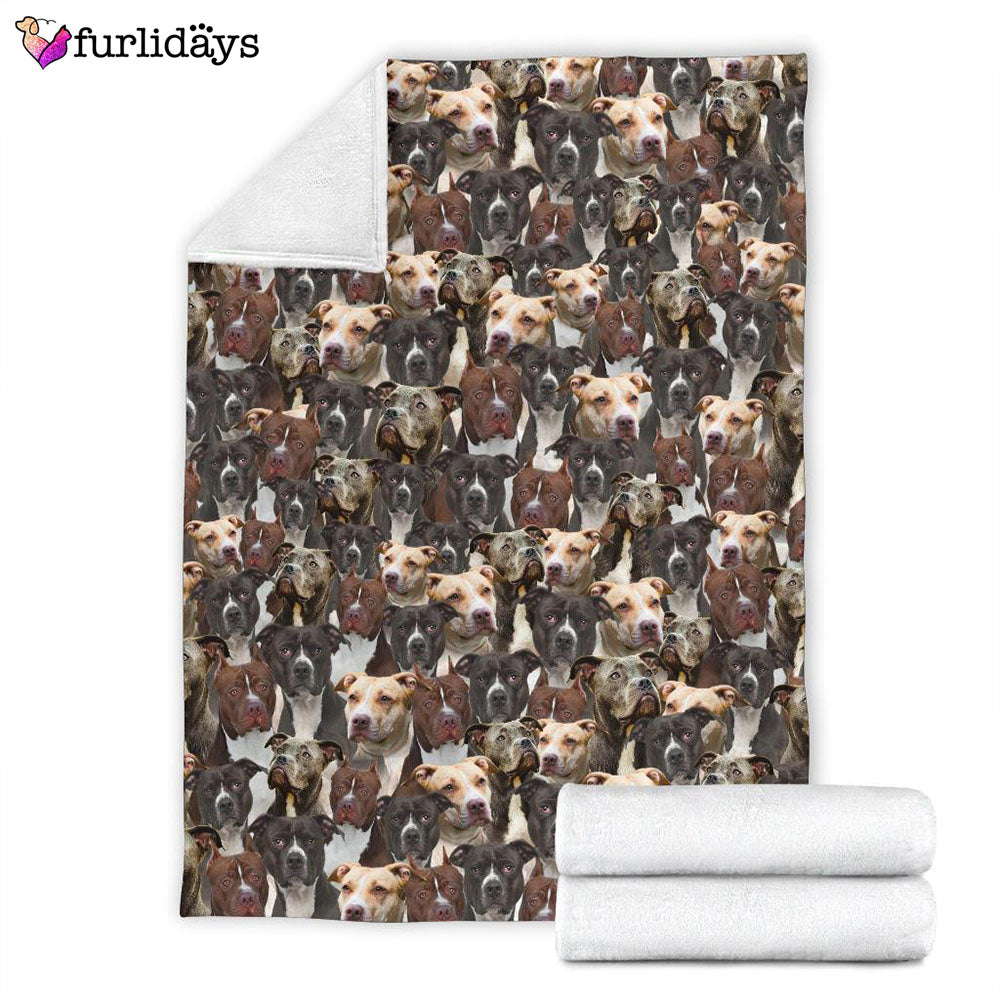 Dog Blanket Dog Face Blanket Dog Throw Blanket American Pit Bull Terrier Full Face Blanket Furlidays 4 79a8884a 6159 40ff 8fff 4b270a39edfe Dog Blanket Dog Face Blanket Dog Throw Blanket American Pit Bull Terrier Full Face Blanket Furlidays 4 79a8884a 6159 40ff 8fff 4b270a39edfe