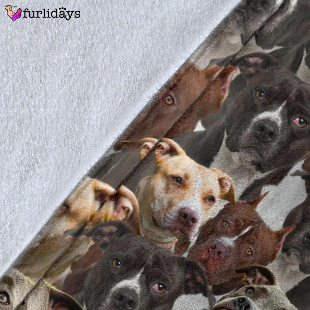 Dog Blanket Dog Face Blanket Dog Throw Blanket American Pit Bull Terrier Full Face Blanket Furlidays 5 e39eed0f c647 4a96 8f28 9caa6a13e059 Dog Blanket Dog Face Blanket Dog Throw Blanket American Pit Bull Terrier Full Face Blanket Furlidays 5 e39eed0f c647 4a96 8f28 9caa6a13e059