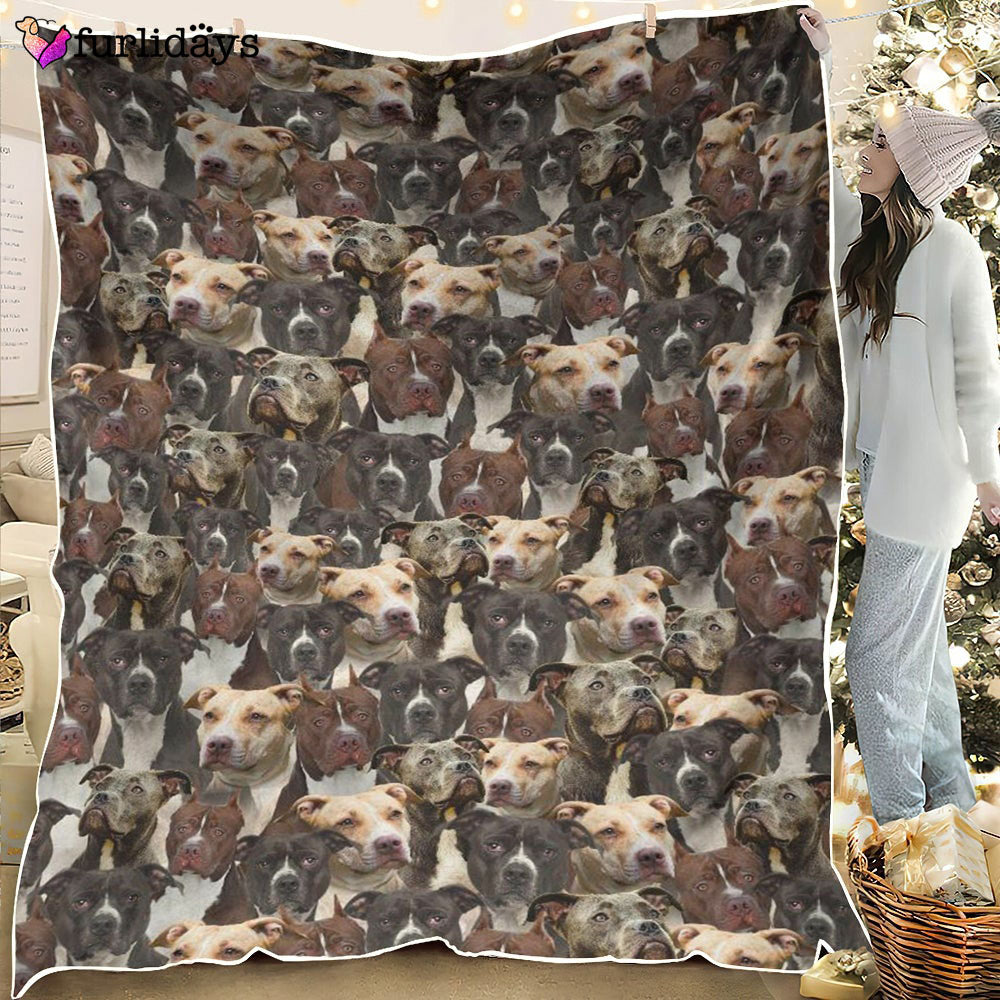 Dog Blanket Dog Face Blanket Dog Throw Blanket American Pit Bull Terrier Full Face Blanket Furlidays 6 Dog Blanket Dog Face Blanket Dog Throw Blanket American Pit Bull Terrier Full Face Blanket Furlidays 6