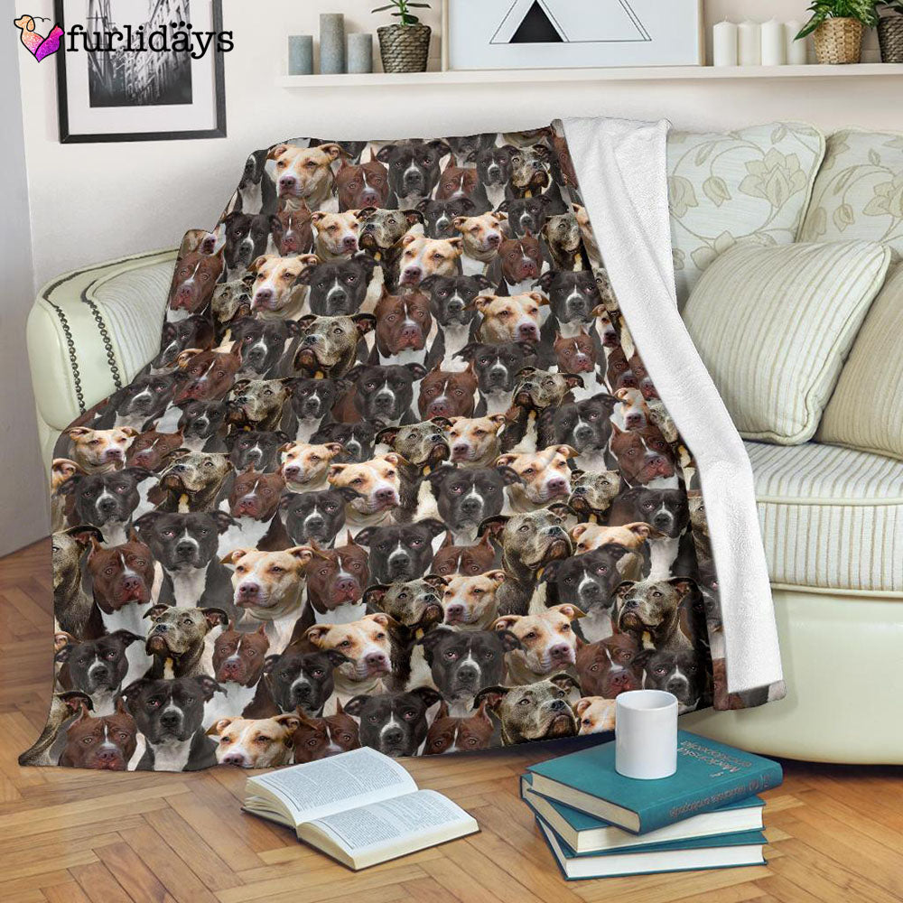 Dog Blanket Dog Face Blanket Dog Throw Blanket American Pit Bull Terrier Full Face Blanket Furlidays 7 Dog Blanket Dog Face Blanket Dog Throw Blanket American Pit Bull Terrier Full Face Blanket Furlidays 7