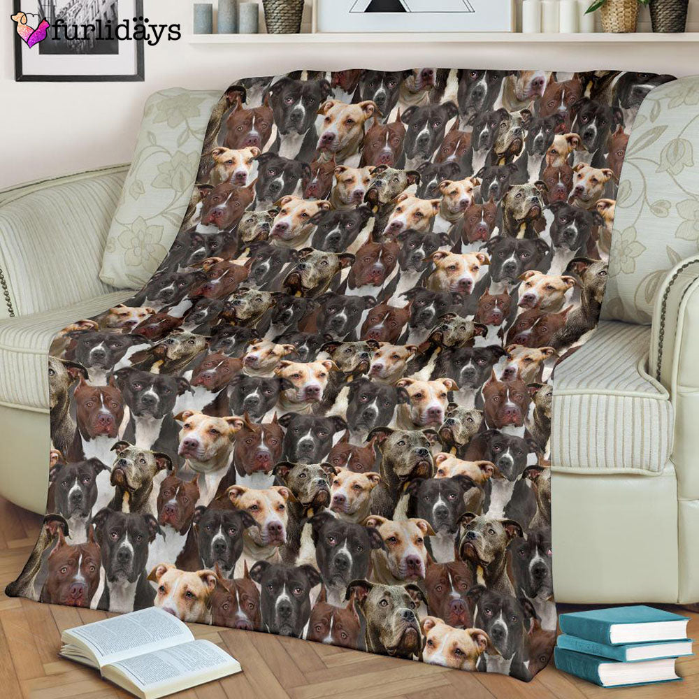 Dog Blanket Dog Face Blanket Dog Throw Blanket American Pit Bull Terrier Full Face Blanket Furlidays 8 e61abad4 3128 44d4 9841 20cbf6057b5a Dog Blanket Dog Face Blanket Dog Throw Blanket American Pit Bull Terrier Full Face Blanket Furlidays 8 e61abad4 3128 44d4 9841 20cbf6057b5a