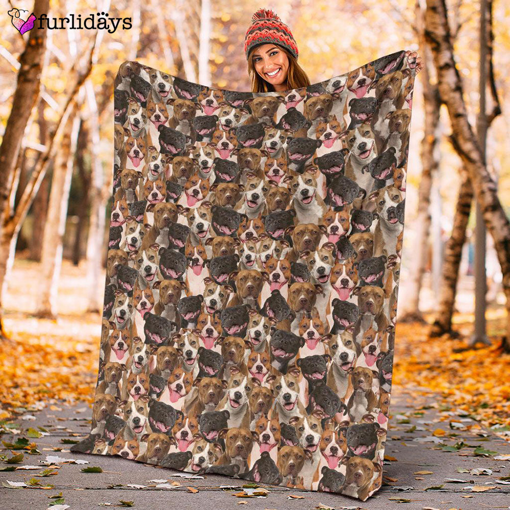 Dog Blanket Dog Face Blanket Dog Throw Blanket American Staffordshire Terrier Full Face Blanket Furlidays 10 87f8b4de e463 44f0 a9d7 ad01bdd73714 Dog Blanket Dog Face Blanket Dog Throw Blanket American Staffordshire Terrier Full Face Blanket Furlidays 10 87f8b4de e463 44f0 a9d7 ad01bdd73714