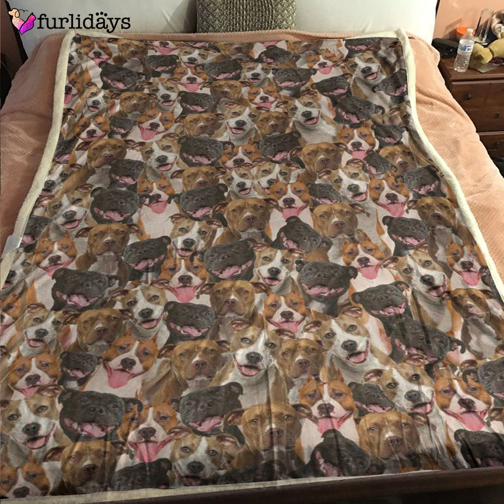 Dog Blanket Dog Face Blanket Dog Throw Blanket American Staffordshire Terrier Full Face Blanket Furlidays 1 88a453a2 e93e 48b0 ace5 3d884cd22e4b Dog Blanket Dog Face Blanket Dog Throw Blanket American Staffordshire Terrier Full Face Blanket Furlidays 1 88a453a2 e93e 48b0 ace5 3d884cd22e4b