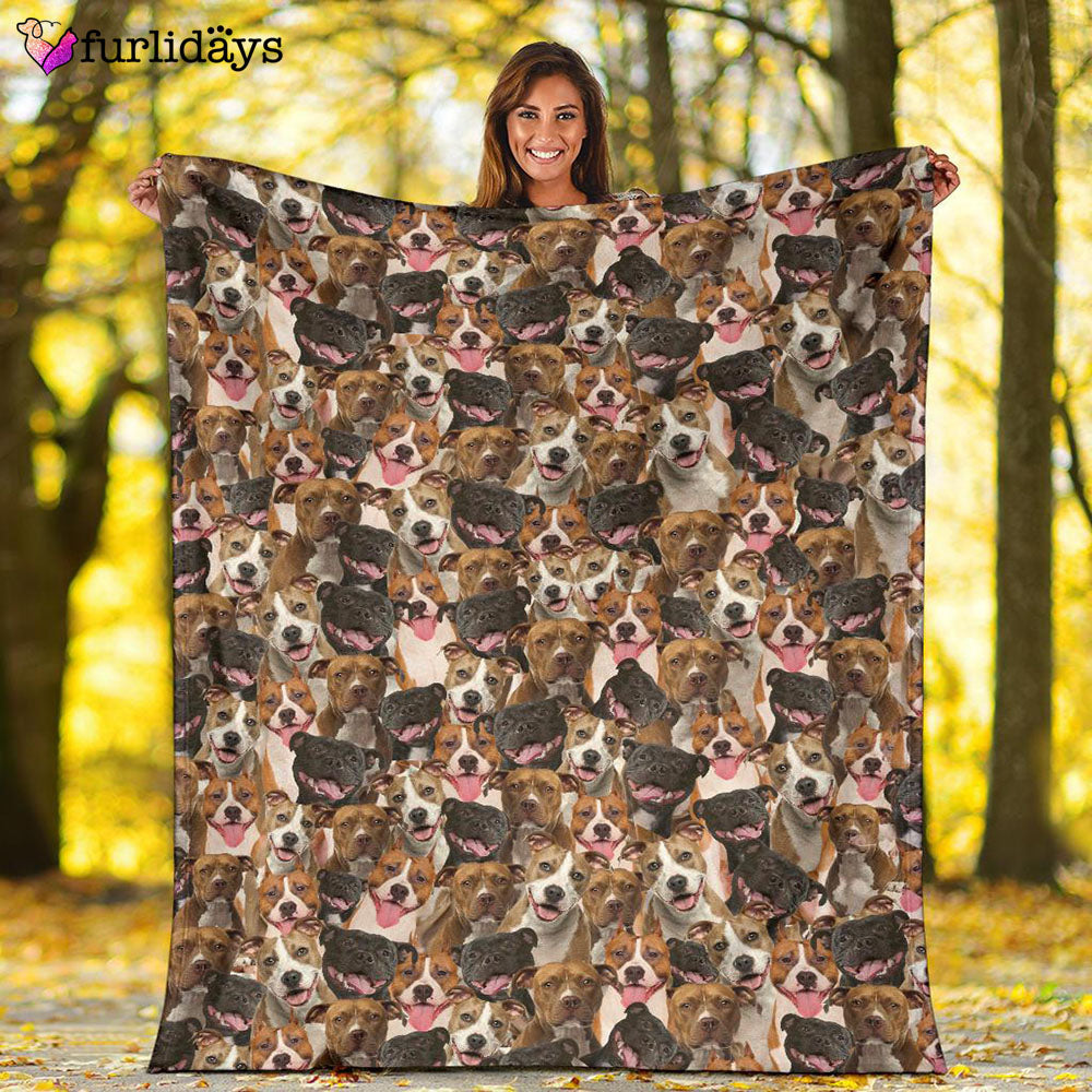 Dog Blanket Dog Face Blanket Dog Throw Blanket American Staffordshire Terrier Full Face Blanket Furlidays 2 abddb48c de64 46e3 8d85 bd6be1542684 Dog Blanket Dog Face Blanket Dog Throw Blanket American Staffordshire Terrier Full Face Blanket Furlidays 2 abddb48c de64 46e3 8d85 bd6be1542684