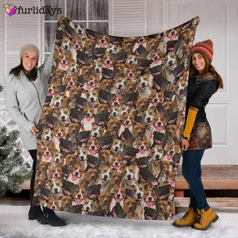 Dog Blanket Dog Face Blanket Dog Throw Blanket American Staffordshire Terrier Full Face Blanket Furlidays 3 ee89f3b3 1e1d 4ab5 9364 a9be2cce5429 Dog Blanket Dog Face Blanket Dog Throw Blanket American Staffordshire Terrier Full Face Blanket Furlidays 3 ee89f3b3 1e1d 4ab5 9364 a9be2cce5429