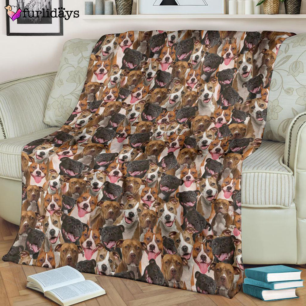 Dog Blanket Dog Face Blanket Dog Throw Blanket American Staffordshire Terrier Full Face Blanket Furlidays 8 1c035704 99e8 4649 b96f f40cae3a2ece Dog Blanket Dog Face Blanket Dog Throw Blanket American Staffordshire Terrier Full Face Blanket Furlidays 8 1c035704 99e8 4649 b96f f40cae3a2ece