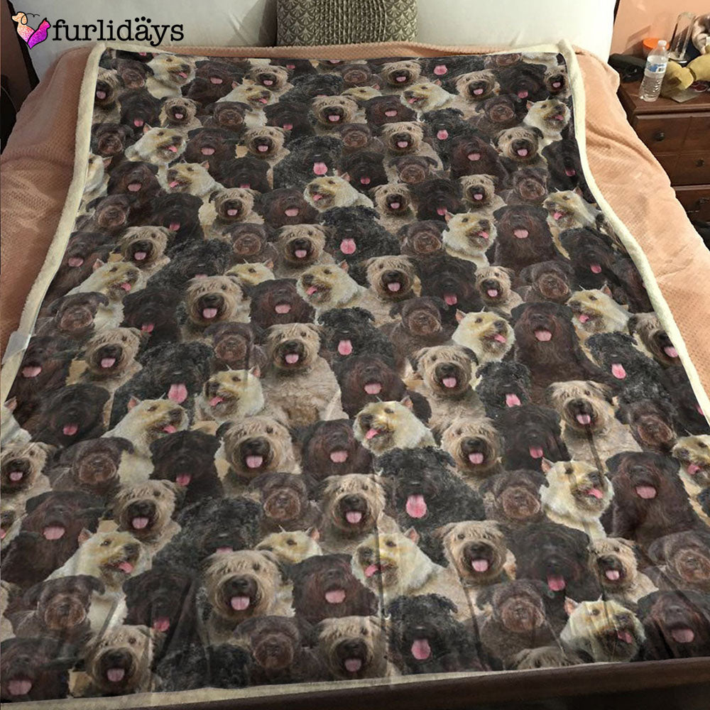 Dog Blanket Dog Face Blanket Dog Throw Blanket Australian Shepherd Camo Blanket Furlidays 2 4c286f44 091e 4046 97ad d1c0d22e0476