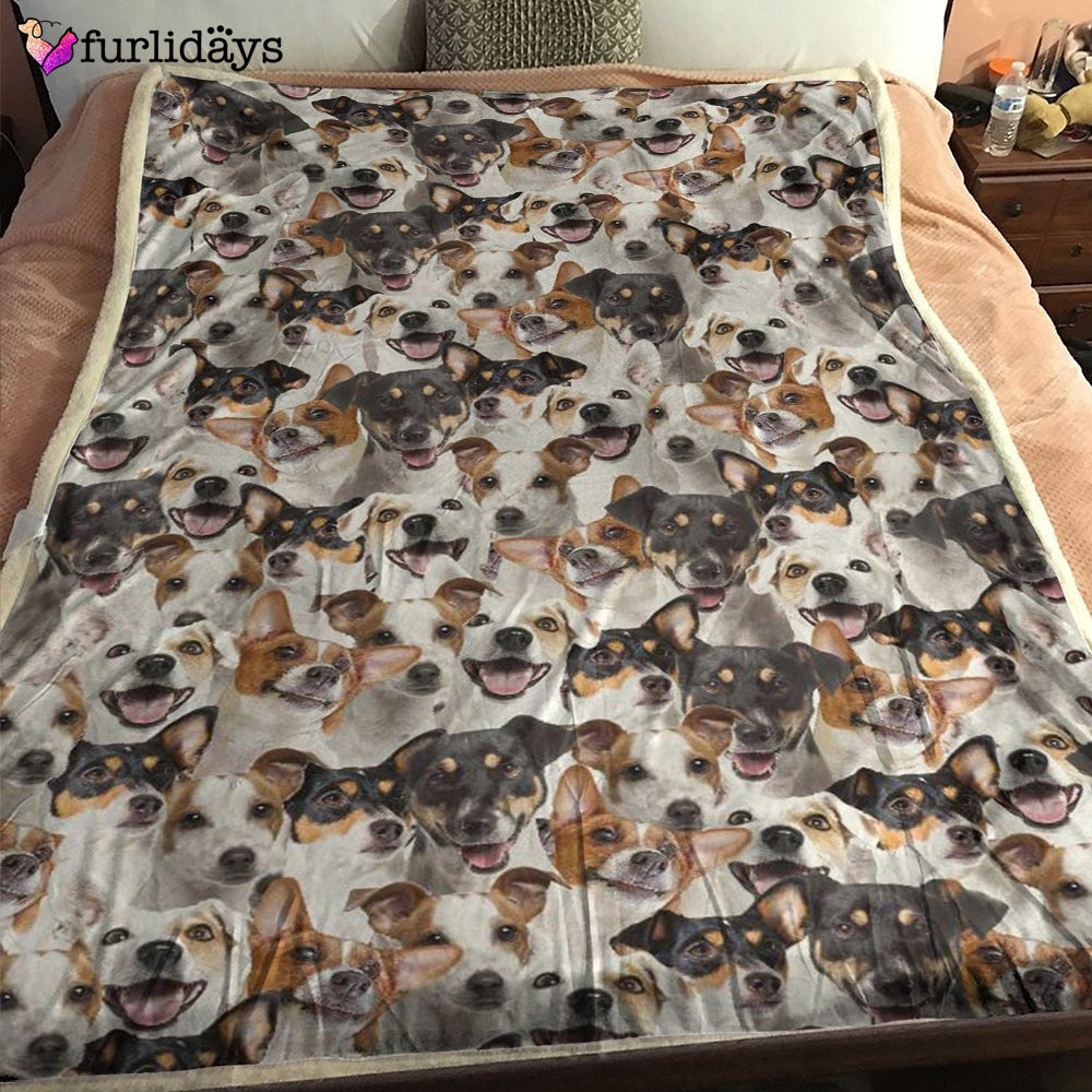 Dog Blanket Dog Face Blanket Dog Throw Blanket Basenji Full Face Blanket Furlidays 1 Dog Blanket Dog Face Blanket Dog Throw Blanket Basenji Full Face Blanket Furlidays 1