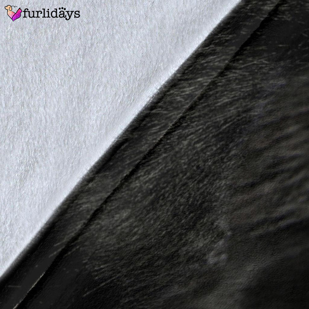 Dog Blanket Dog Face Blanket Dog Throw Blanket Bernese Mountain Dog 2 Face Hair Blanket Furlidays 5 Dog Blanket Dog Face Blanket Dog Throw Blanket Bernese Mountain Dog 2 Face Hair Blanket Furlidays 5