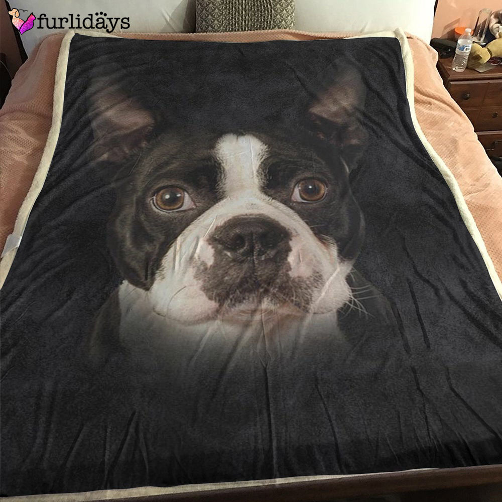Dog Blanket Dog Face Blanket Dog Throw Blanket Boston Terrier Face Hair Blanket Furlidays 1