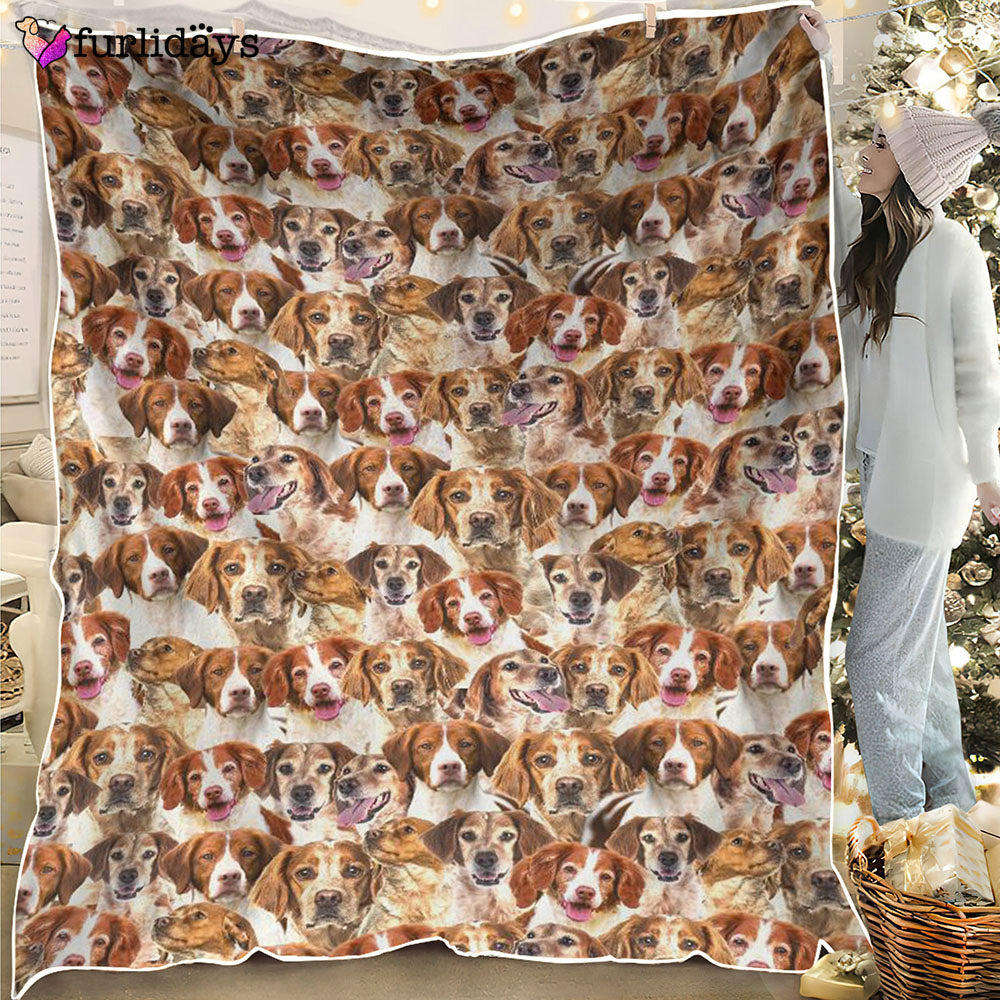 Dog Blanket Dog Face Blanket Dog Throw Blanket Brittany Full Face Blanket Furlidays 1 Dog Blanket Dog Face Blanket Dog Throw Blanket Brittany Full Face Blanket Furlidays 1